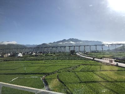 彩云之南（6）：白色小Polo