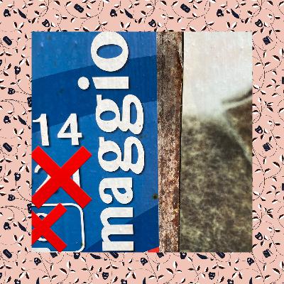 353: grafico, schiaccianoci e casalingo