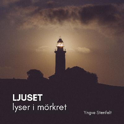 Ljuset lyser i mörkret | Yngve Stenfelt