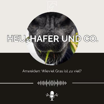 Episode 25 - Anweiden: Wieviel Gras ist zu viel?