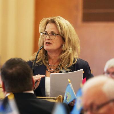 ‘Woke’ money, wildfires and more from the Legislature’s third week; plus: ‘The Data Center Divide'