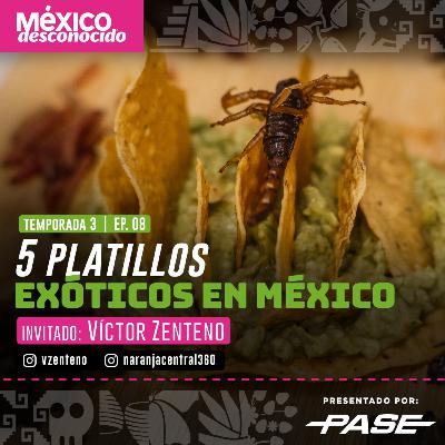 México Desconocido T3 | E8 - 5 Platillos exóticos en México con Víctor Zenteno México Desconocido T3 | E8 - 5 Platillos exóticos en México con Víctor Zenteno