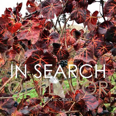 Episode 32: Carmenere - Chile’s Clandestine-Turned-Flagship Grape