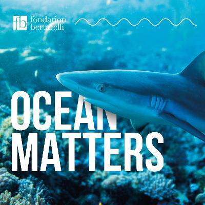 BONUS - Dr Mark Meekan: My Time with Sharks