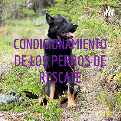 Condicionamiento clásico