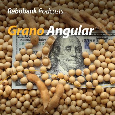 Apoyos a Soya? Apoyos a Soya?