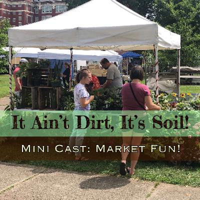 Mini Cast: Market Fun!