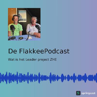 Wat is het Leader project ZHE? Wat is het Leader project ZHE?