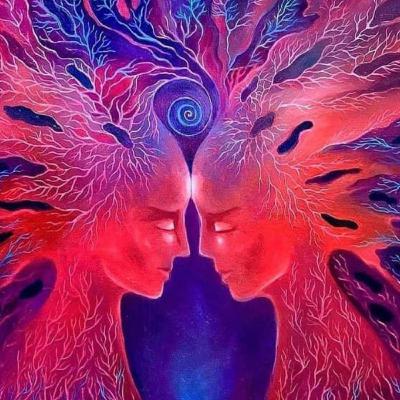 The True Reason for the Twin Flame Journey The True Reason for the Twin Flame Journey