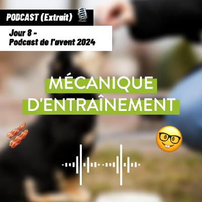 JOUR 8 - Mécanique d'entraînement [Podcast de l'avent 🎄]