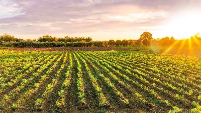 Can the Polyface Approach Feed the World?