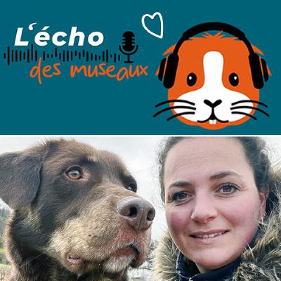 8. Les clés de Susie pour un chien bien dans ses pattes !