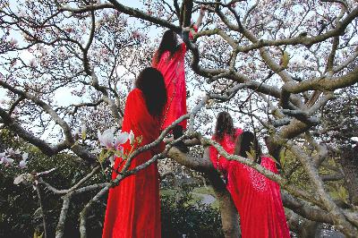 Episode 328: Oli Genn-Bash: Animism/The Fungi Consultant/Codex Serafini Episode 328: Oli Genn-Bash: Animism/The Fungi Consultant/Codex Serafini