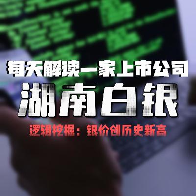 每天解读一家上市公司：湖南白银