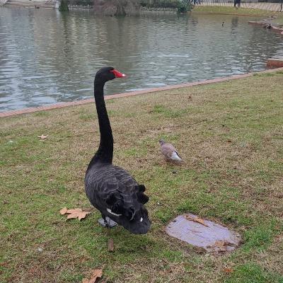 Enseñanza de la Biblia