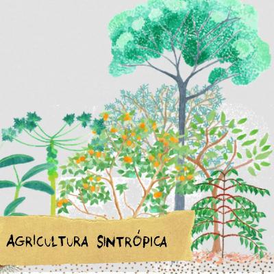 EP 21 - Agricultura Sintrópica