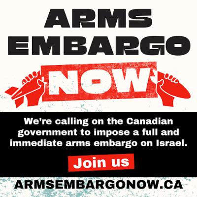 Arms Embargo Campaign, No More Loopholes Act & Riding Groups (996)