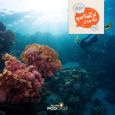 พูดจีนได้ง่ายจัง : พูดจีนได้ง่ายจัง ตอนที่ 47 ดำน้ำ ดูปะการัง อาบแดด พูดจีนได้ง่ายจัง : พูดจีนได้ง่ายจัง ตอนที่ 47 ดำน้ำ ดูปะการัง อาบแดด