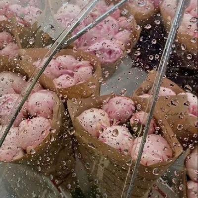 SOS, je n'ai pas de passion