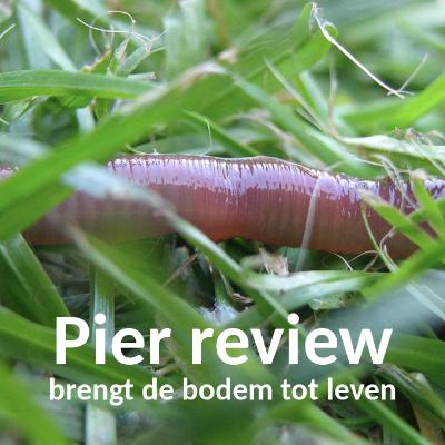 Teaser pier review podcast