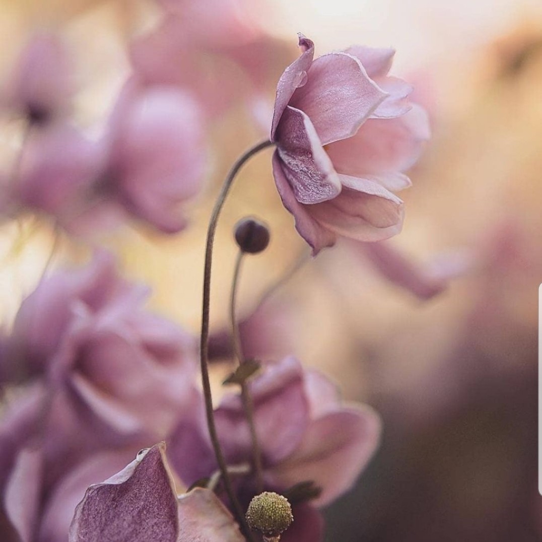 واژه واژه تورا مینویسم ...🌱
