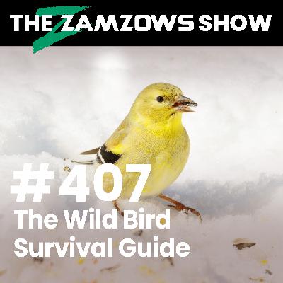 The Wild Bird Survival Guide