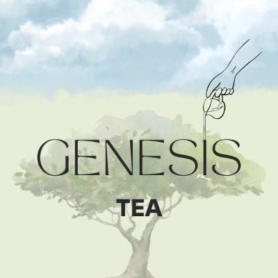 Genesis Chapter 13: Where You Pitch Your Tent Matters Genesis Chapter 13: Where You Pitch Your Tent Matters