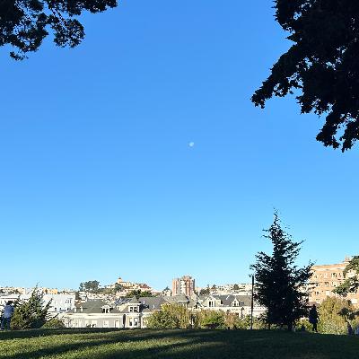 #69 ｻﾝﾌﾗﾝｼｽｺで風邪をひいたり