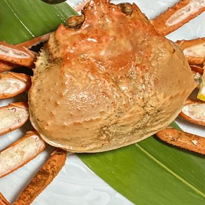 太一とヨコキンについて...