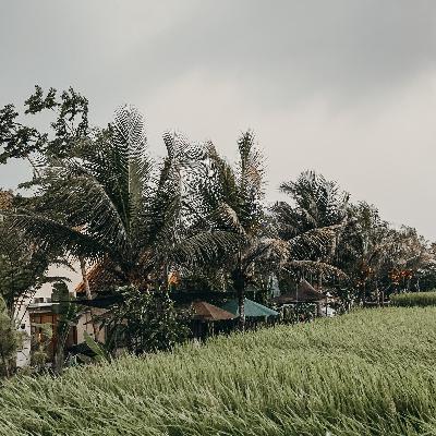 Ronde 3 : Bodo amat!