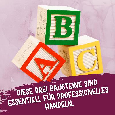 205 - Diese drei Grundlagen sind essentiell für professionelles Handeln.