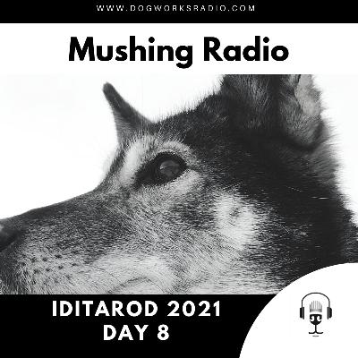 Iditarod 2021 Daily Coverage | Day 8