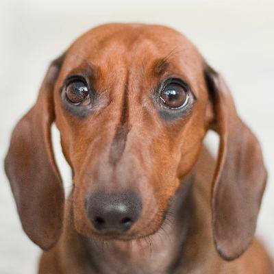 Episode 18 - "The face of all the world is changed, I think" Episode 18 - "The face of all the world is changed, I think"