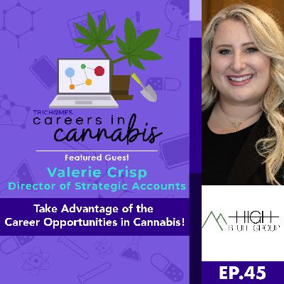 Take Advantage of Career Opportunities in Cannabis! - Interview: Valerie Crisp - High Bluff Group