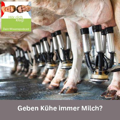 Geben Kühe immer Milch? Geben Kühe immer Milch?