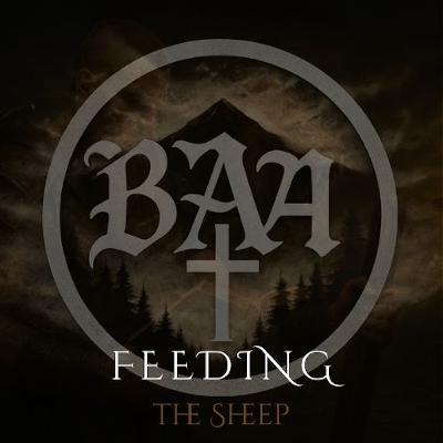 Feeding the Sheep