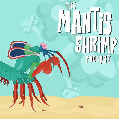 Episode 2: Jack Ansett talks spicy rumours and childhood heroes
