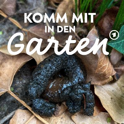 Wer hat in meinen Garten gemacht?
