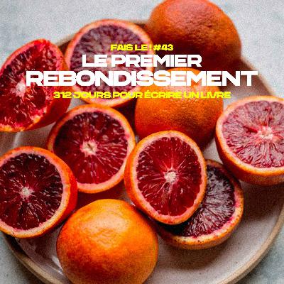 #43 - Le premier rebondissement