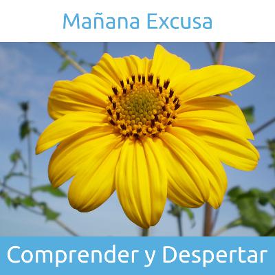 Mañana es una excusa