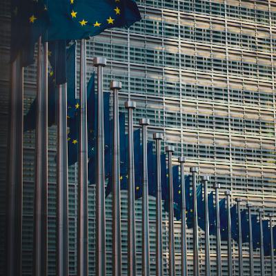Kateřina Kolouchová: Jaký efekt mohou mít volby do Evropského parlamentu?