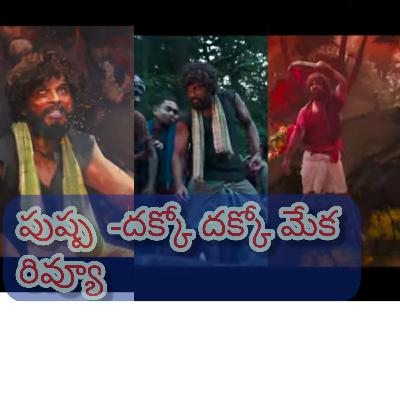 Pushpa -dhakko dhakko meka song review