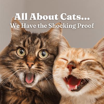All About Cats... We Have the Shocking Proof