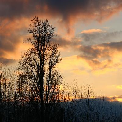 20251028 - The Silence of Awareness