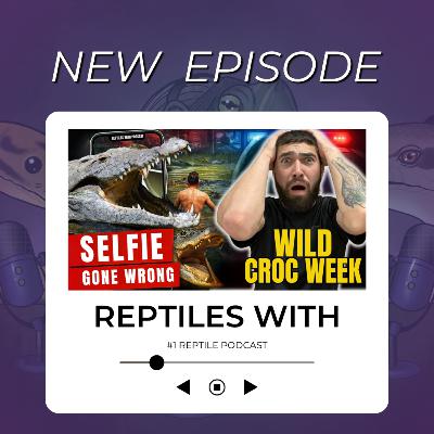 Alligator ATTACKS & Croc Encounters GONE WRONG! How to Stay Safe in Nature | Reptiles With Podcast