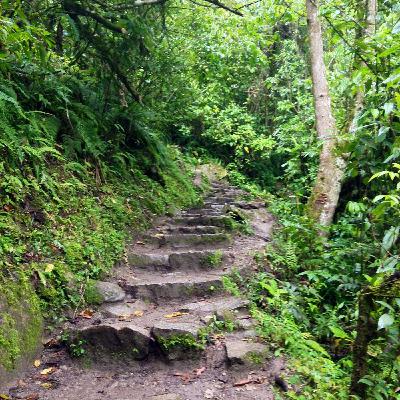 Guided Walking Meditation Guided Walking Meditation