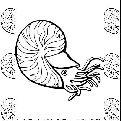 (How To Download) [PDF/EPUB] Mollusk Coloring Book: Mollusk Coloring Book For Kids by Bibi Coloring Press Full Access