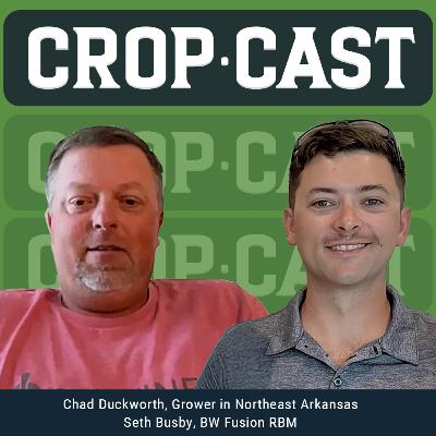 #39: Growing Rice In The Delta with Arkansas Grower Chad Duckworth