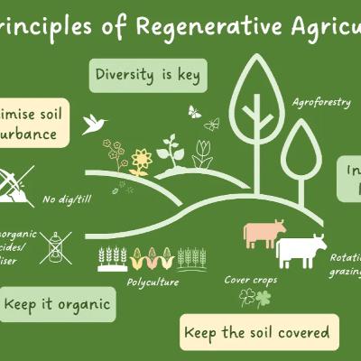 52. 土豆计划：食品安全问题、心理健康与自然农耕 @米乐农庄