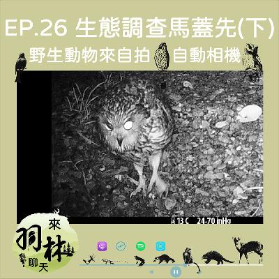 來羽林聊天 EP.26 生態調查馬蓋先(下)/野生動物來自拍—自動相機/坐在辦公室收資料的浪漫 ft. 公館馬蓋先—曾威